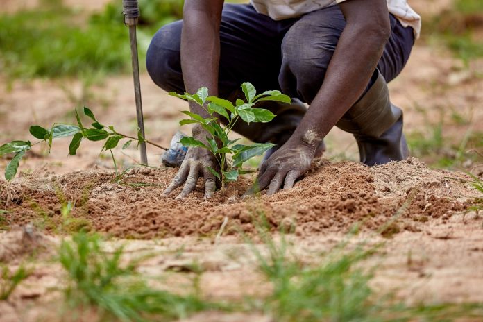 Environmental Conservation